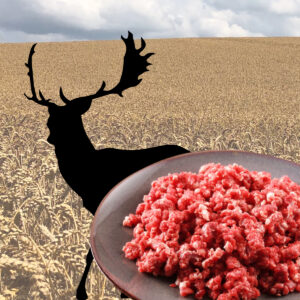 Damwild - Hackfleisch