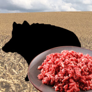 Schwarzwild - Hackfleisch