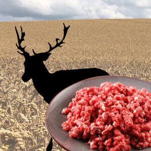 Rotwild - Hackfleisch