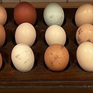Eier aus Freilandhaltung 10er